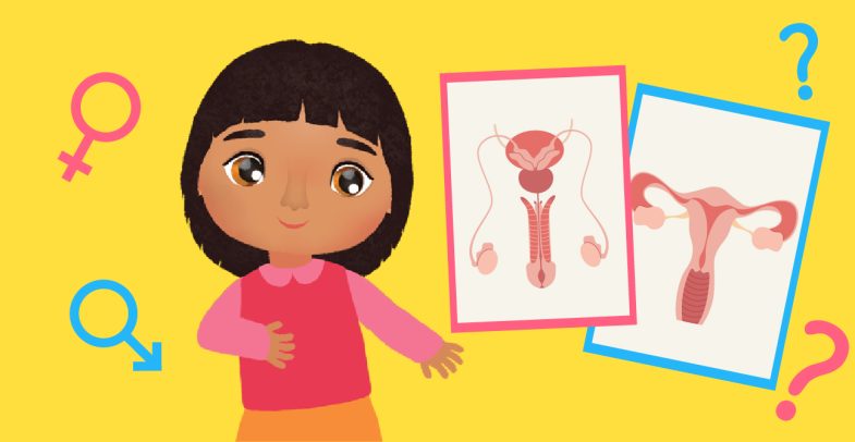 Sex Education in Islam